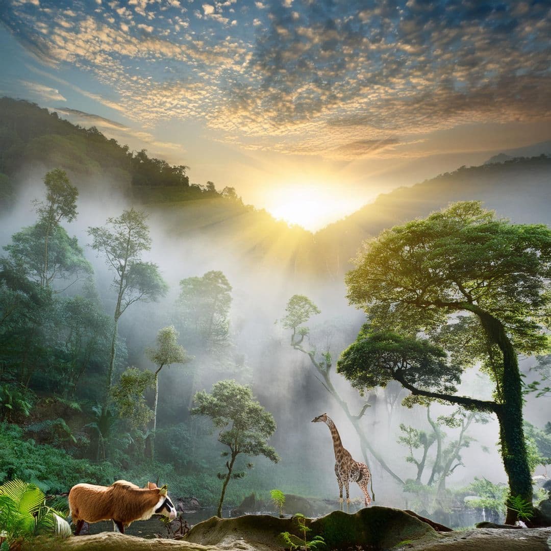 Beskyttelse af biodiversitet