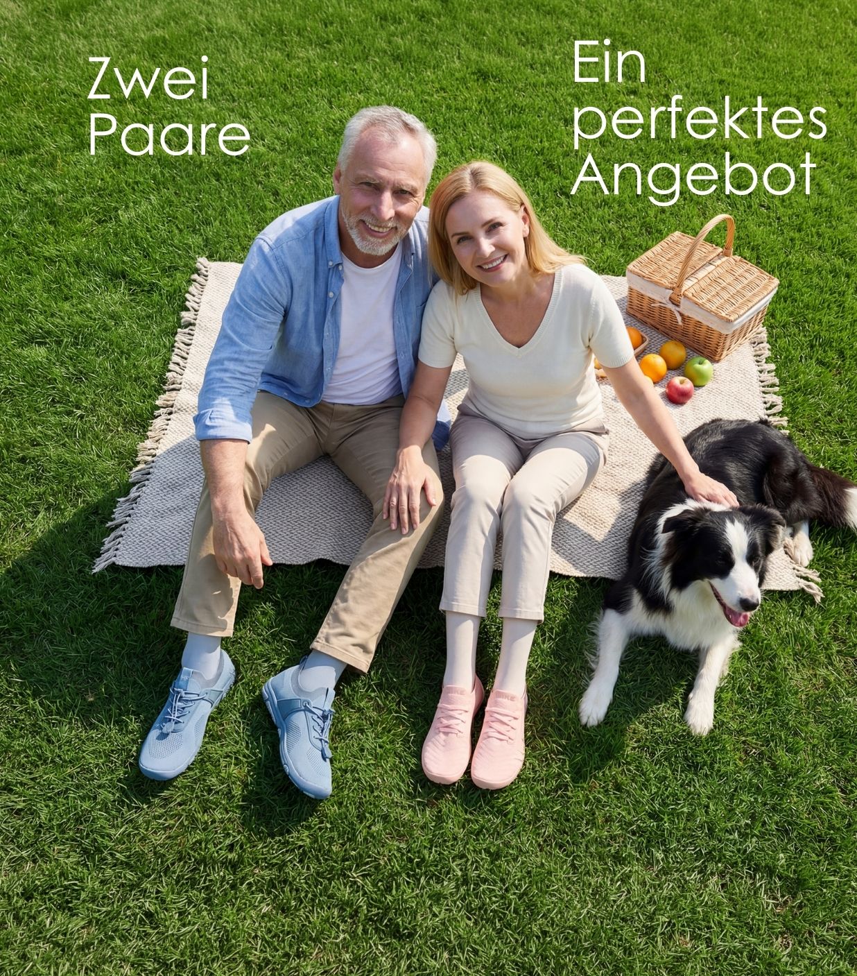 Collection Hero Image