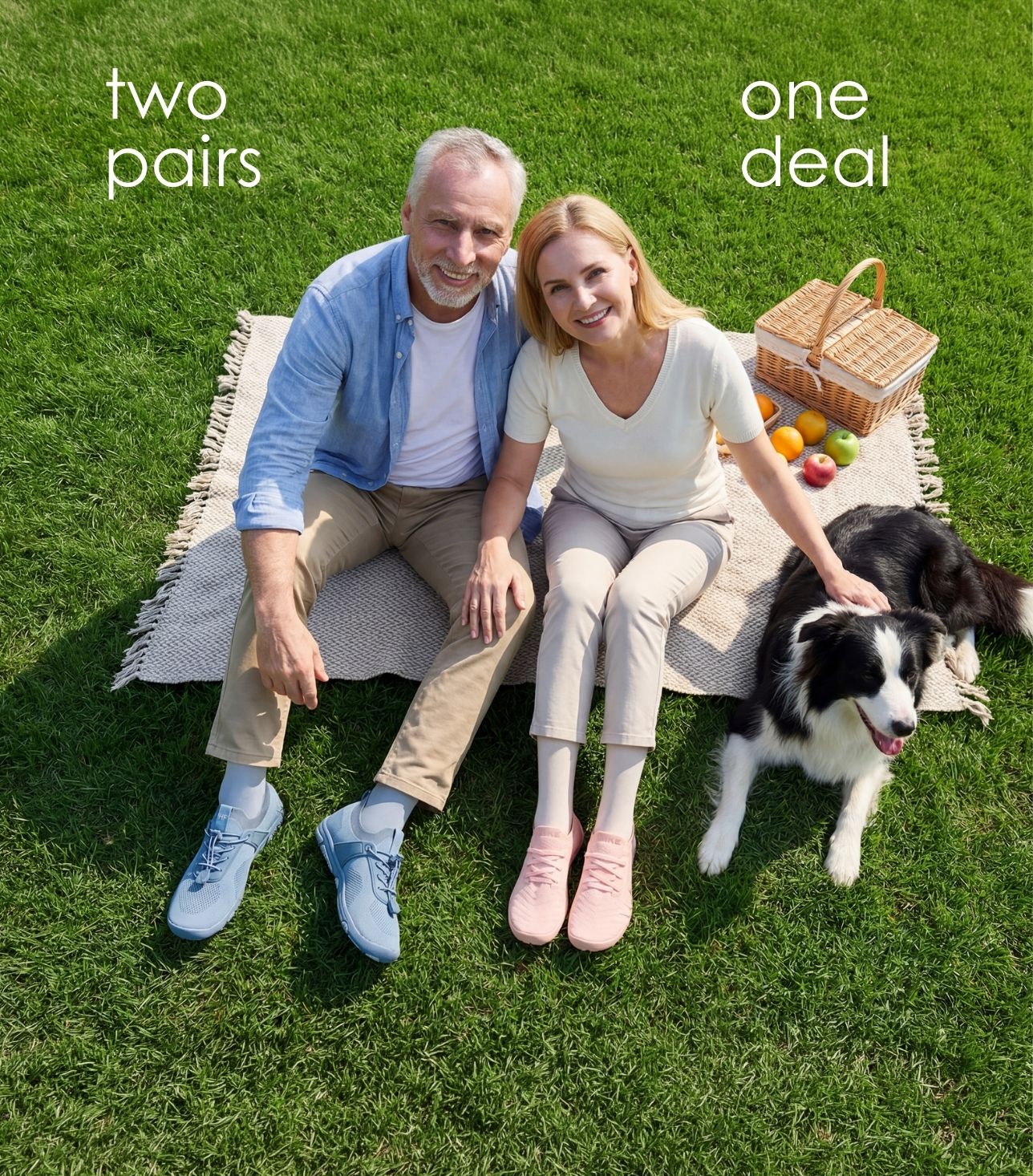 Collection Hero Image